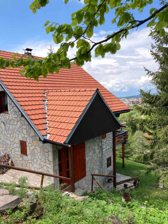 Apartments Holiday Home Srce Kopaonik Ngoại thất bức ảnh